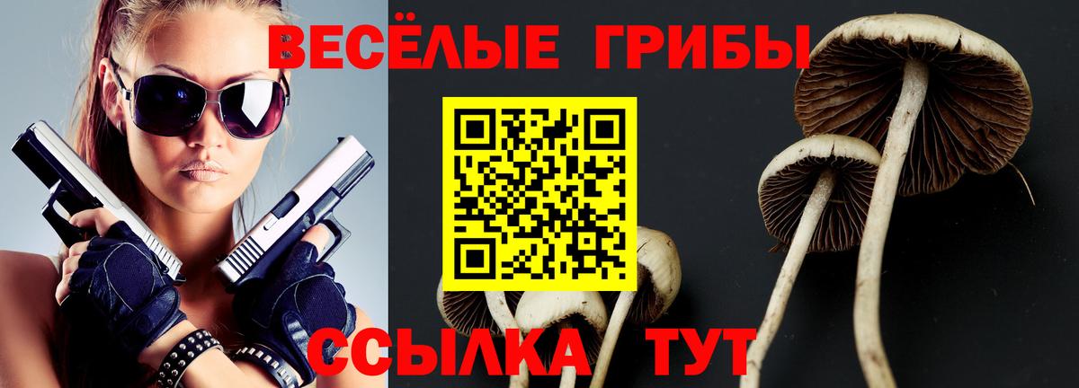 Назрань  Галлюциногенные грибы Cubensis  Псилоцибиновые грибы ЛСД  Вход с VPN 